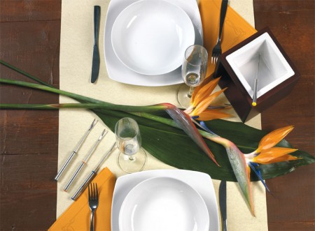 Tovaglia e Tovagliolo Tessuto Non Tessuto (TNT) TETE AU TETE