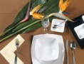 Tovaglia e Tovagliolo Carta Secco ELEGANCE